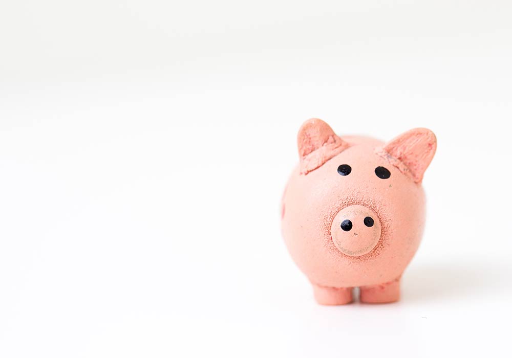 Ceramic Pig | Using Your 401k for a Down Payment